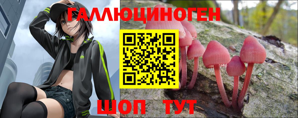 Галлюциногенные грибы мицелий  Вход с VPN  Зеленогорск  купить закладку  Псилоцибиновые грибы MAGIC MUSHROOMS 
