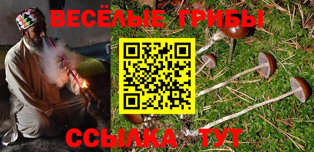 Галлюциногенные грибы мухоморы Зеленогорск